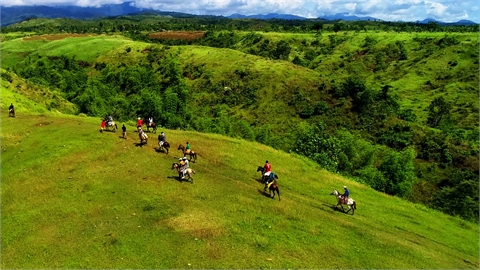 Rosacarra Rolling Hills